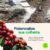 Kit Adubo Fertilizante NPK 041408 + Calcário Agrícola Dolomítico Prnt 80% Fracionado Hortaliças Flores Rosas do Deserto