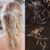 Acessórios Para Cabelo De Noiva Casamento Temperamento Simples Faixa De Diamante Cristal Longo Penteado De