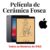 Pelicula Fosca de Ceramica para Todos os Modelos de iPad – iPad Mini 1/2/3 4/5 6 iPad 2/3/4 5/6 7 8 9 – Pronta Entrega