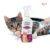 Kit Banho a Seco Gatos + Lenço Umedecido Gatos Pet Clean