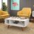 Mesa de Centro Sala Retro 45 2 Nichos Branco – Olivar Móveis