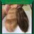 Reborn Mohair Elegant 15g Para Enraizamento Kit De Bonecas Renascidas Com Escolha Aleatória De Cores