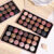Paleta de Sombra Perolada Mate Fina Brilhante Terra Color Series Não Fácil de Tirar Maquiagem High-V